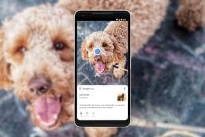 Wat is Google lens search