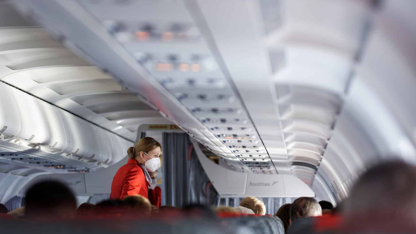Stewardess/steward zijn • Kennisdomein