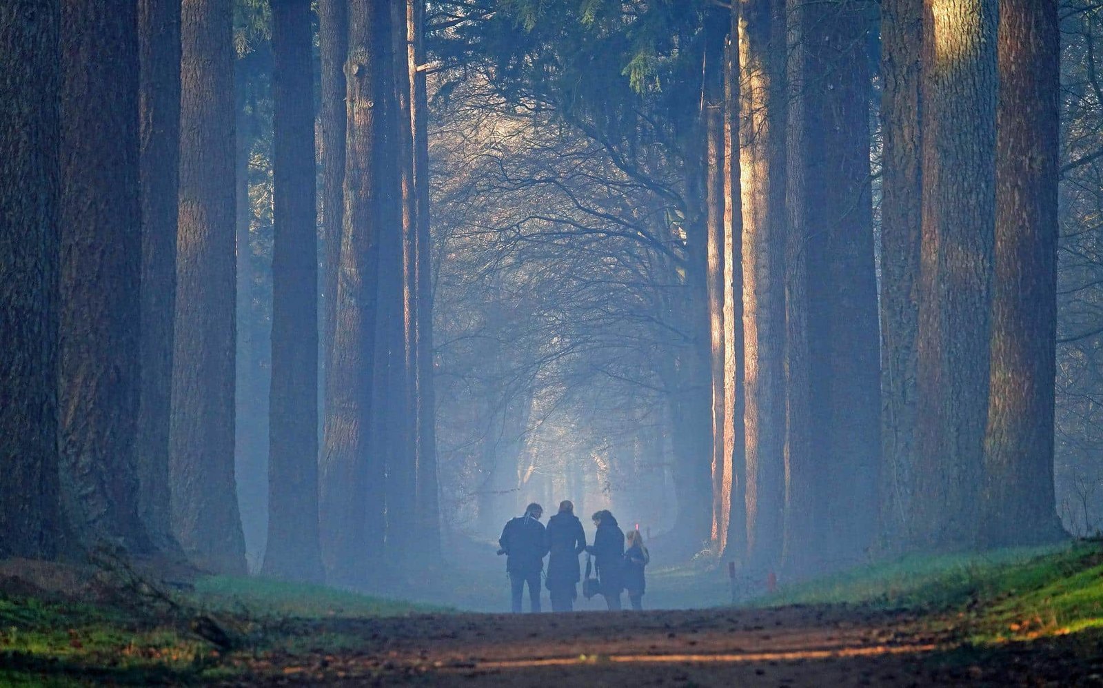 Naar de Veluwe