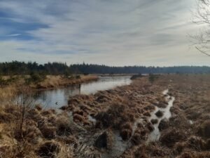 Op vakantie in Drenthe