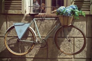 De meeste fietsers ter wereld