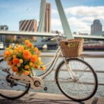 Fiets met bloemen Rotterdam Erasmusbrug