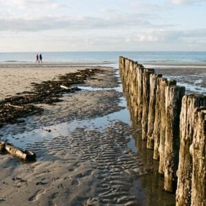 Rij houten paalhoofden op een Zeeuws strand bij laagwater met nat zand en een lijn zeewier van het hoogwater