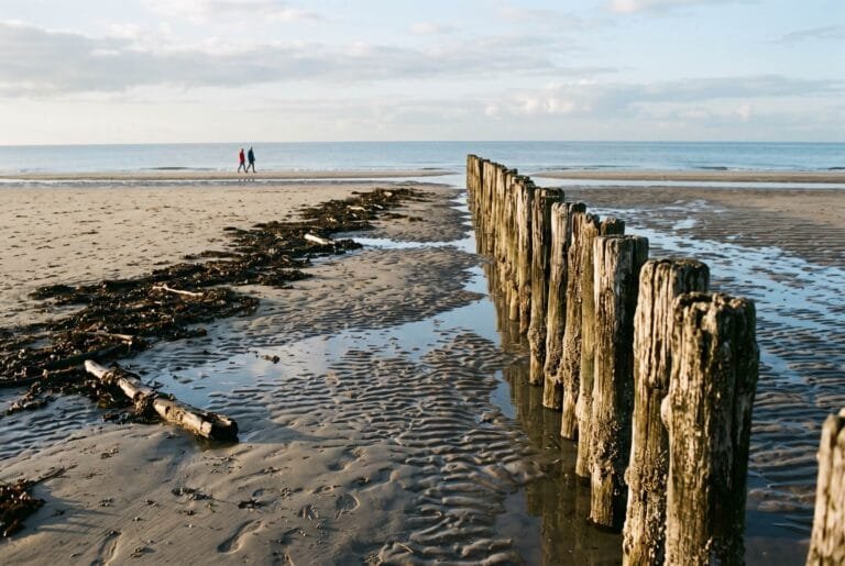 Rij houten paalhoofden op een Zeeuws strand bij laagwater met nat zand en een lijn zeewier van het hoogwater