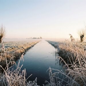 Bevroren sloot in een polder met berijpt riet langs de kant in laag ochtendlicht