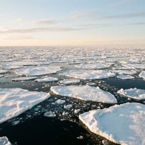 Drijvende ijsschotsen met open water ertussen onder een lage zon aan de horizon