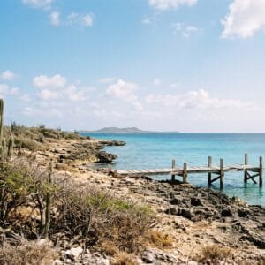 Droge rotskust met hoge cactussen en een houten steiger aan een turquoise zee op een Caribisch eiland