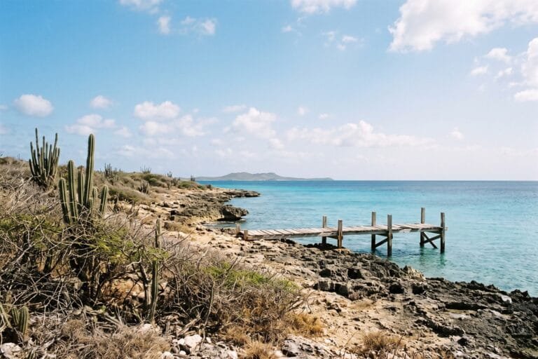 Droge rotskust met hoge cactussen en een houten steiger aan een turquoise zee op een Caribisch eiland