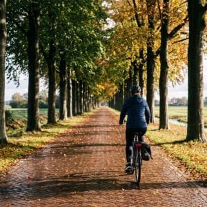 Fietser rijdt over een laan met beuken waarvan de helft nog groen is en de helft al geel in het ochtendlicht