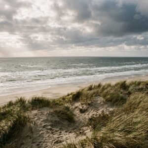 Grijsgroene Noordzee met schuimkoppen en een windpark aan de horizon gezien vanaf een duin met helmgras