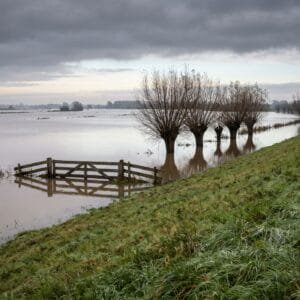 Ondergelopen uiterwaard met knotwilgen en een hek in het water langs een rivierdijk onder een grijze herfstlucht