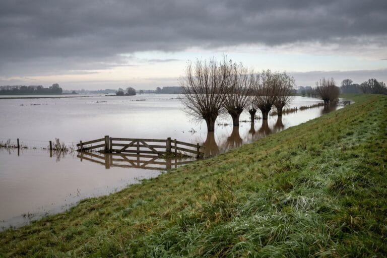 Ondergelopen uiterwaard met knotwilgen en een hek in het water langs een rivierdijk onder een grijze herfstlucht