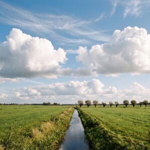 Witte stapelwolken met platte onderkant boven een groen weiland met een sloot en knotwilgen