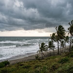 Bewolkte tropische kust met palmbomen in de wind en hoge golven onder een donkere stormlucht