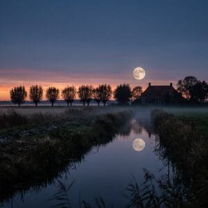Volle maan komt op boven een Nederlandse polder met knotwilgen en een sloot in de schemering