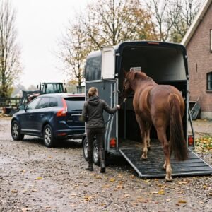 Vrouw leidt een paard een paardentrailer in achter een auto op het erf van een manege in de herfst
